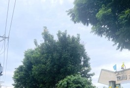 Bán Đất Thổ Cư Đẹp Hẻm Xe Tải 78m3_4*19.5m Chỉ 4.8 Tỷ Đường số 8 Linh Xuân Thủ Đức Giá Đầu Tư